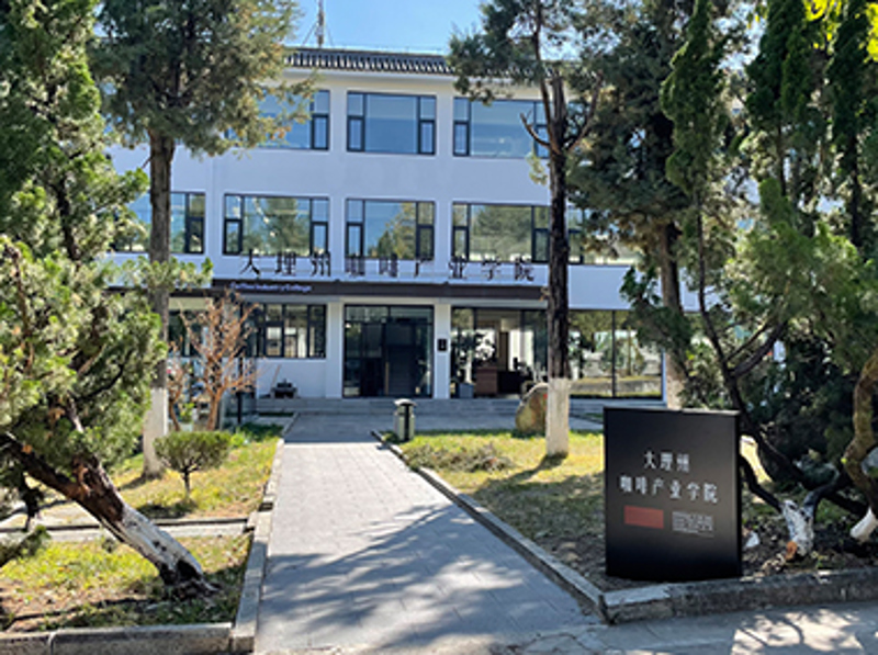 Introduction to Famous Coffee from Various Regions